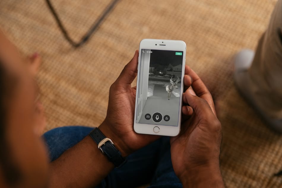 Pickens SC security system